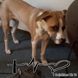 Meet your Posher, Lora